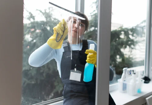 Nettoyage de vitres intérieures et extérieures à Laviron